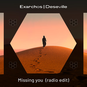 Missing you (Radio Edit)