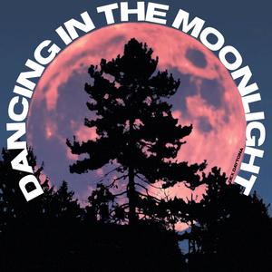 Dancing in the moonlight