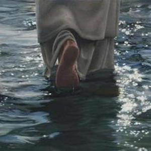 Follow Me(feat. Alex Zavir) (Explicit)