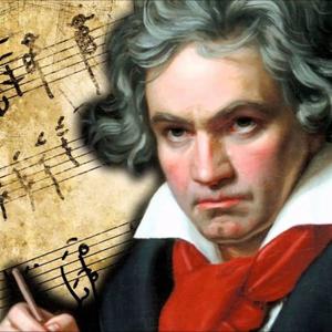 BEETHOVEN VS SKOOPS