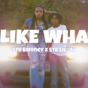 Like Wha? (Explicit)