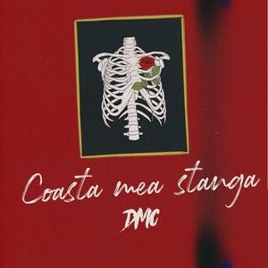 Coasta mea stanga