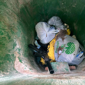Wasted (Explicit)