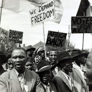 Roots (feat. Dizzie) (Explicit)