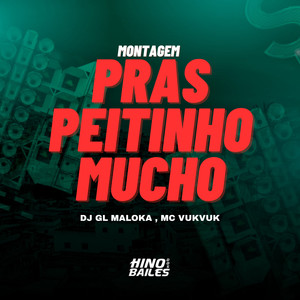 Montagem Pras Peitinho Mucho (Explicit)