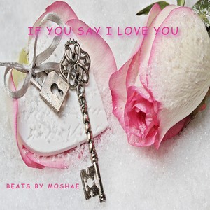 If You Say I Love You (Inst.)