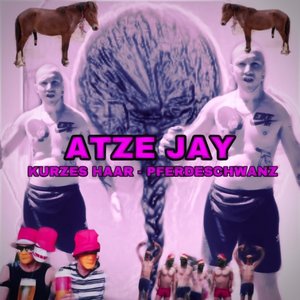 Kurzes Haar Pferdeschwanz