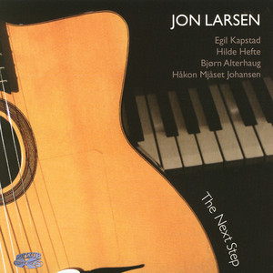 Jon Larsen - Shoegazing