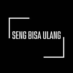 Seng Bisa Ulang