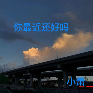 小萧 - 你最近好吗