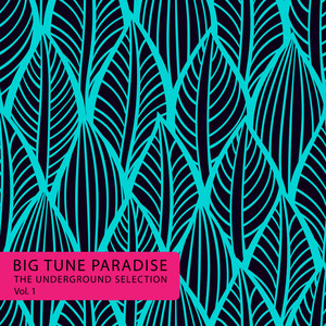 Big Tune Paradise - the Underground Selection, Vol. 1 (Explicit)