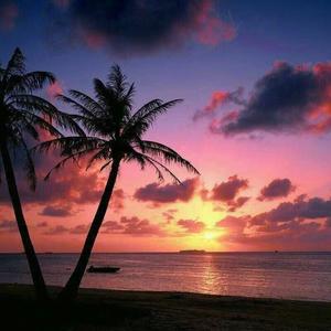 微信用户wxid_v8ex21gfgcsb22