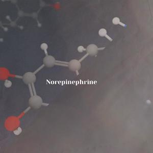 Norepinephrine