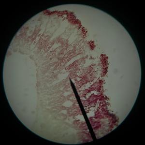 unlove you (Explicit)