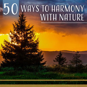 50 Ways to Harmony with Nature: Exceptional Sounds of Nature, Harmony Balance, Reiki Yoga, Healing Mantra, Zen Music for Relaxing