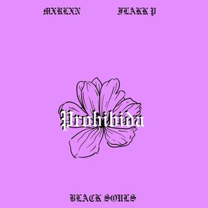 Prohibida (feat. Flakk P) (Explicit)