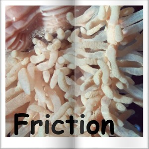 Friction