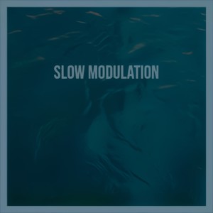 Slow Modulation