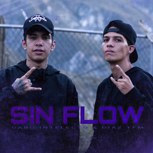 Sin Flow