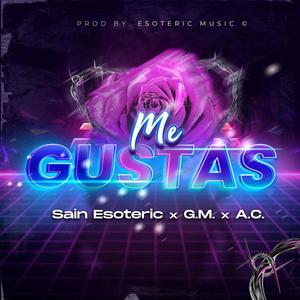 Me Gustas (feat. G.M. & A.C. El Satelite)