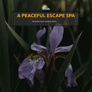 A Peaceful Escape Spa - Relaxing and Calming Music