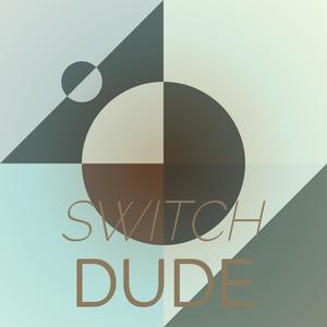 Switch Dude