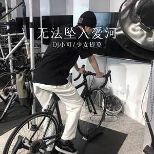 无法坠入爱河 (Remix)