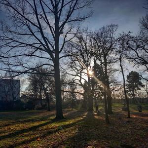 Tareef(feat. Abhishek Pawar)