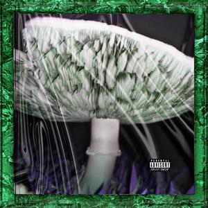 Poison Channel(feat. Jogzy & Galean777) (Explicit)