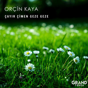 Çayır Çimen Geze Geze