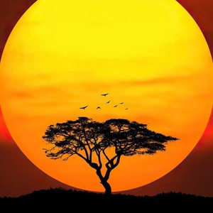 Soleil d'Afrique