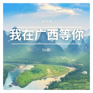 我在广西等你 (伴奏)