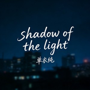 shadow of the light