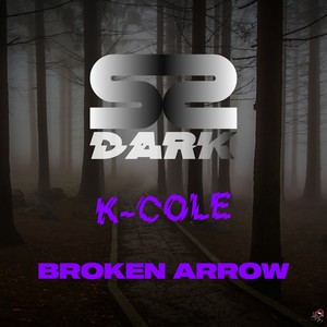 Broken Arrow (Original Mix)