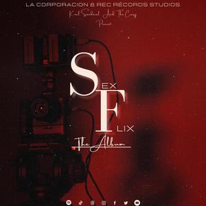 Sexflix (Explicit)