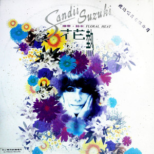 苏州夜曲 (黑胶版)