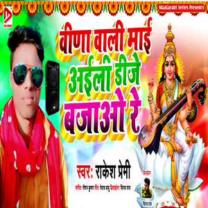 Veena Wali Ayili Dj Bajawa Re