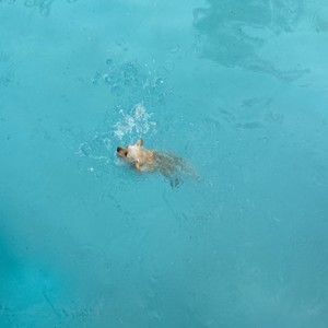Cassandra Violet - Swim Test