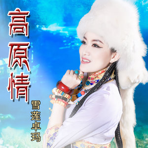 高原情 雪莲卓玛 qq音乐-千万正版音乐海量无损曲库新歌热歌天天