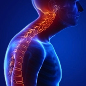 Pescoço do Jovem Dx (Explicit)