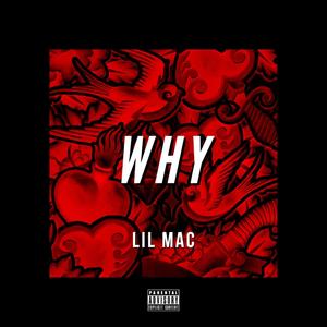 WHY (Explicit)