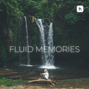 Fluid Memories