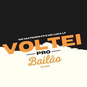 Voltei Pro Bailão (Explicit)