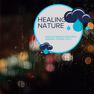 Healing Nature - Practice Mindfulness with Rainfall Sounds, Vol.3