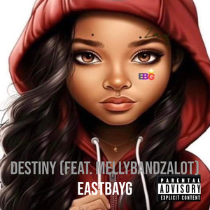 Destiny (Explicit)