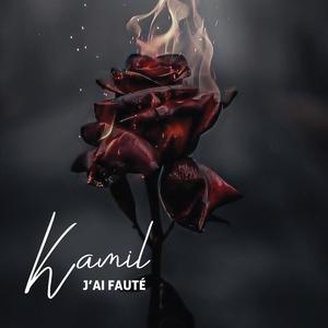 J'ai fauté (Explicit)