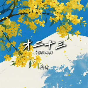 才二十三 (深夜R&B)封面