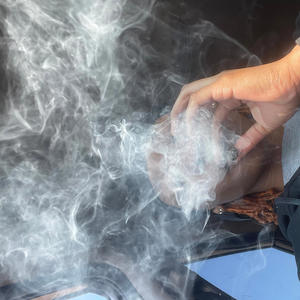 Brid brain (Explicit)