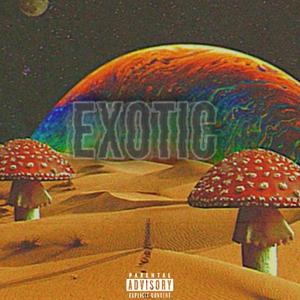 Exotic (feat. Kel Vo) [Explicit]