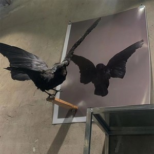 热情不会突然消失 (DJ版)